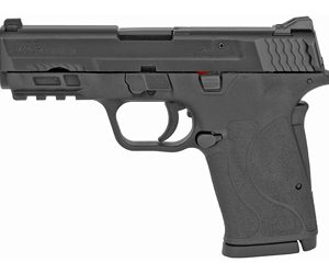 Smith & Wesson, M&P9 SHIELD EZ M2.0